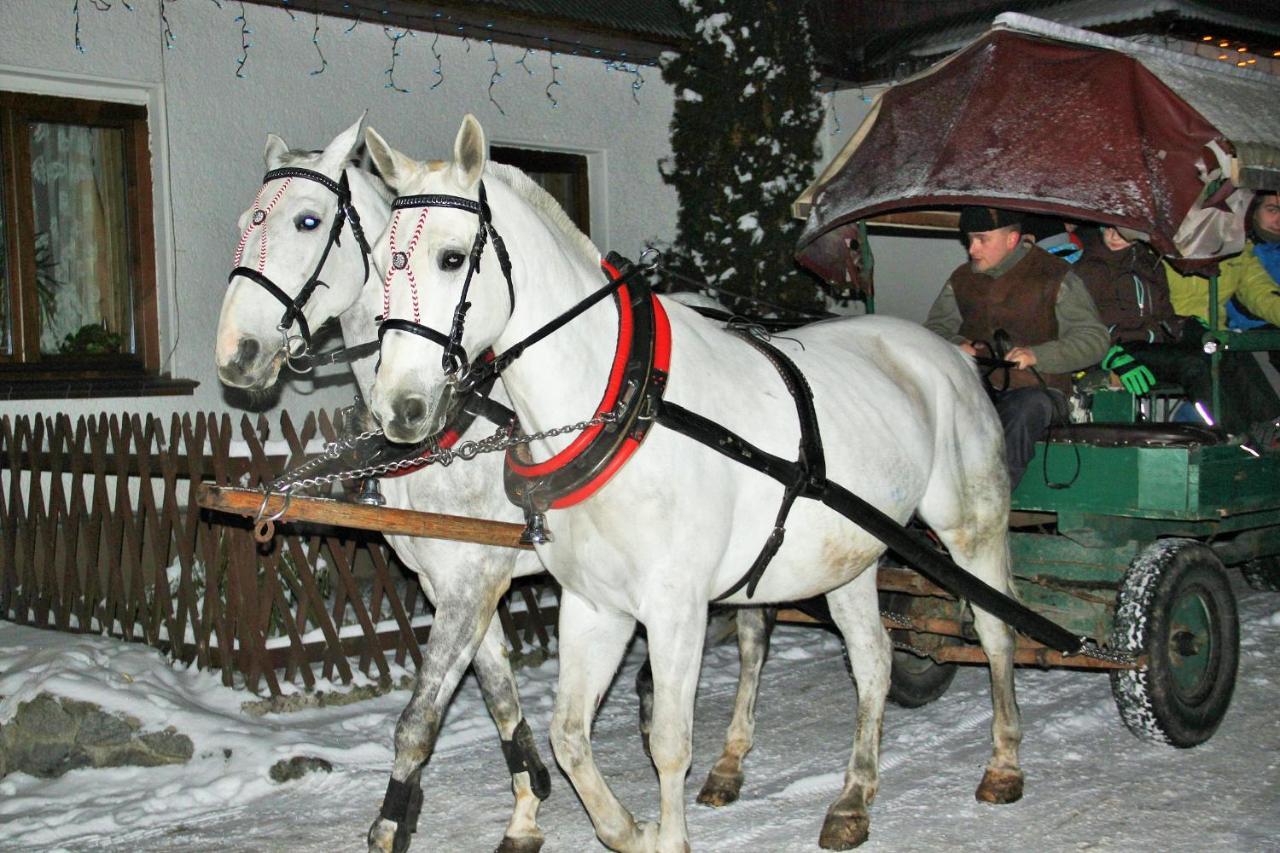 U Sarapatki-Noclegi Z Wyzywieniem Jurgów Buitenkant foto